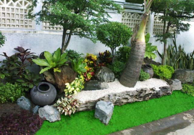 Thiết kế tiểu cảnh sân vườn + lu và cây dừa