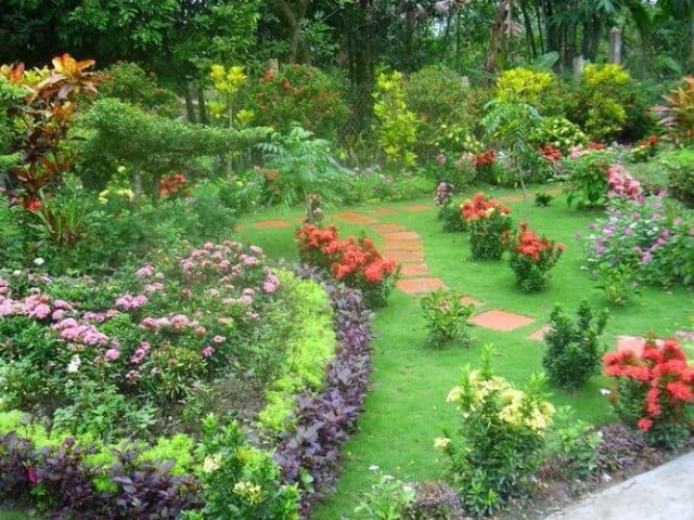 Thiết kế tiểu cảnh sân vườn + như một vườn hoa